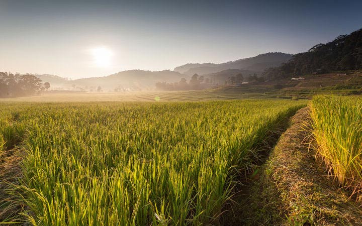 Port Kelang(Malaisie)